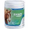 Candioli Bawn Mangime Complementare Polvere Per Cavalli Adulti e Puledri 600 g