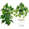 PASCH® Set di 2 piante artificiali sospese: piante artificiali come reali, piante artificiali da appendere, pianta artificiale da appendere in vaso, piante sospese con vaso (Edera Helix), 26 cm