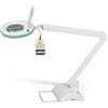 Lumeno LED lampada d'ingrandimento 7215GN, lente in vero vetro da 127 mm, lampada da lavoro, cosmetica, adatta per cosmetici, hobbisti, ausilio alla lettura, 5 diottrie verde con treppiede da tavolo