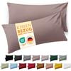 Blumtal Fodera per cuscino 70 x 90 cm, 2 pezzi - Fodere per cuscini certificate OEKO-TEX 100% microfibra extra morbida e lavabile in lavatrice - Fodera per cuscino color tortora