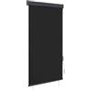 vidaXL Tenda a Rullo per Esterni 80x250 cm Antracite