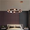 JINWELL Lampada A Sospensione Ad Anello LED Per Scale Lampada Moderna Dimmerabile Appendere Lampade In Metallo Zincato Regolabili Altezza Per Tavolo Pranzo Camera Letto Cucina(Rose gold,60cm)