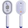 Generic Piastra elettrica a vapore 2026, piastra senza fili con modalità temperatura, spazzola riscaldante ricaricabile, adatta per acconciature, viaggi in ufficio e a casa (viola)