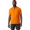 HELLY HANSEN HP SALINA POLO Vela Uomo