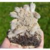 Calcite & Siderite 808 Grammi - Trepča Complex,Mitrovica Distretto,Kosovo