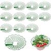 Jilskl 12 Pezzi Supporto Per Fragole, Supporti Per Fragole Per Piante, Protezione Per Fragole, Rimovibile Supporto Piante Fragole, Protezione Delle Piante Di Fragola, Previene Marciumi e Muffe, Verde