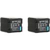 CQJFCYBRA Compatibile Con Panasonic, Batteria VW-VBG260 Da 2640 MAh, For HDC-HS700 HDC-HS350 HDC-HS300 HDC-HS250 HDC-HS9 HDC-DX1 HDC-DX3(2pcs Battery)