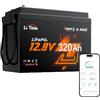 LiTime Batteria al Litio LiFePO4 12V 320Ah con Bluetooth per Camper, 4000-15000 Cicli Profondi, Energia 4096Wh, Perfetta per RV, Furgone Camperizzato, Impianti Solari, Barche, Motori Trolling