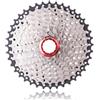 ReachMall 10 cassette per mountain bike, 11-42T, pignone in acciaio con vite B e chiave esagonale per MTB
