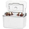 Generic refrigeratore rigido, 5 l, con manico portatile a tenuta stagna, rigida, per campeggio, picnic, pesca, barca, escursionismo, barbecue, spiaggia, viaggi, viaggi su strada