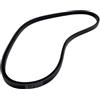 PLunZX Parti di Ricambio Cinghia del generatore 25132-003700 for Sostituzione Marina 2GM20F 3GM30F 123325-77360 145613-77350 123325-77440