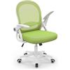 naspaluro Sedia Ufficio, Sedia Scrivania con Supporto Lombare, Poltrona Ufficio in Rete Traspirante, Sedia da Ufficio Ergonomica Braccioli e Altezza Regolabili, Verde