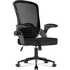 naspaluro Sedia da Ufficio Ergonomica, Braccioli Fissi, Poltrona Ufficio Supporto Lombare Unico, Cuscino Imbottito, Sedia da Ufficio Regolabile in Altezza, Per Casa Ufficio, Studio, Nero