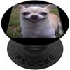 Funny Cute Dog Meme Humors Arts (Chihuah Divertente sorridente Chihuahua Sfocato Cane Meme PopSockets PopGrip Adesivo