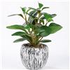 Artifolia Pianta Finta da Interno in Vaso, Fico Artificiale in Plastica Realistico, Piante Finte Verdi per Decorazione Casa, Camera da Letto, Bagno, Cucina, Salotto, Ufficio e Scrivania