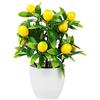 TITA-DONG Decorazione Artificiale Della Pianta Del Limone, 9.65 Pianta Da Interno Di Albero Di Limone, Vaso Di Fiori Artificiale Limone BonsaiAlbero Da Frutto In Vaso, Miniascape Decorativo(12 frutti con vaso)
