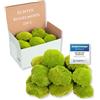 Mia Milano I Muschio Sferico Conservato Verde Chiaro I Muschio Naturale Islandese I Decorazione e Artigianato I 250 g
