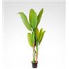 Kentis - Banano Finto Alto 160 cm - Piante Finte da Interno Design - Pianta Finta con Vaso - Piante Artificiali da Esterno - Decorazione Casa e Ufficio