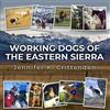 Jennifer K Crittenden Working Dogs of the Eastern Sierra (Tascabile)