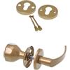 Aqbau® Maniglia per porta con pomello e rosetta PZ | pulsante | pomello per porta | pomello (oro)