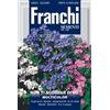 Seeds of Italy Ltd FRANCHIO SEMENTI Non Ti Scordar di Me