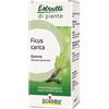 BOIRON Srl Ficus carica estratti di piante boiron mg 60 ml
