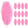 Anseom 12 piume di struzzo da 8-10 pollici, piume naturali, per fai da te, accessori per decorare la casa, matrimoni, feste, cappelli decorativi (rosa)