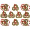 NONE 5 set di monete fortunate della fortuna cinese Feng Shui Ciondoli di buona fortuna tradizionali con cordino rosso Accesso al successo della ricchezza
