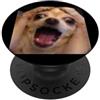 Funny Dog Theme Cute Meme Graphic (Chihu Divertente urlando Chihuahua Sfocato Cane Umorismo Meme PopSockets PopGrip Adesivo