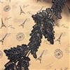 Little lane lace 9,5 cm di larghezza europea, motivo foglia, ricamo in pizzo, tovaglia, copriscarpe da sposa fai da te (1,8 m in un pacchetto) (nero)