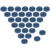 TUXCAXI Punte per Stecche da Biliardo Integrate con durezza, Colla Forte, Accessori di Ricambio necessari per Giocatori di Biliardo, Punte per Stecche da Professionali, Blu, 10 Millimetri