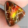 Gemsporium Ammolite Naturale Trilliant Cabochon Hot Rainbow Luster 10,21ct 17x14mm