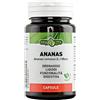 ERBA VITA GROUP SpA ANANAS 60CPS