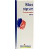 BOIRON Srl RIBES NIGRUM 60ML TM