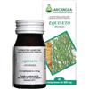 ARCANGEA EQUISETO 60CPS 500MG ARCANGEA
