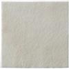 COLOPLAST SpA BIATAIN 3760 ALGINATE AG 10X10