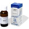 SARANDREA MARCO &C. Srl EXTRAGEM CARPINO BIANCO GEMME