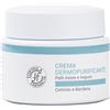 FORMULA FARMACIA FORMULA CREMA DERMOPURIFIC 50 ML
