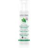 Logona Purify fluido idratante opacizzante per il viso con menta biologica e acido salicilico da corteccia di salice Fluido per il viso 30 ml