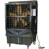 Master Raffrescatore portatile BC 220