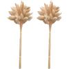 Whyzsjnclg 50 pz Bunny Tails Bouquet di fiori secchi naturali Pianta di pampa per la decorazione del vaso
