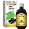 Dr.giorgini ser-vis srl RIBES NE ANALCO GEMMO10+ 500ML