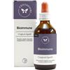 CENTO FIORI Srl BIOIMMUNE 100ML