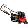 Ama Arieggiatore Scarificatore TRX 40-S: Arieggiatore Scarificatore per prato, Uso semi-profesionale o privato, Rotore 18 lame, Rotore 24 molle