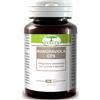 RENACO ITALIA R.I. GROUP Srl MANGRAVIOLA 60CPS