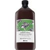 Davines Natural Tech Renewing Shampoo shampoo rinforzante per tutti i tipi di capelli 1000 ml