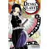 Koyoharu Gotouge Arnaud Takahashi Demon Slayer T06 (Tascabile)