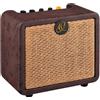 ORTEGA PTWO Amplificatore Acustico 12W Bluetooth Effetti Batteria USB-C