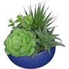 Arborus Piante grasse artificiali da 17 cm, in vaso, per interni, in vaso di ceramica blu, pianta finta realistica in vaso, per davanzale della finestra, tavolo da ufficio, casa, bagno, soggiorno,