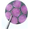 Estremamente Raro 20.20 CT Naturale Trapiche Ruby Earth-Mined Agrati Certificato